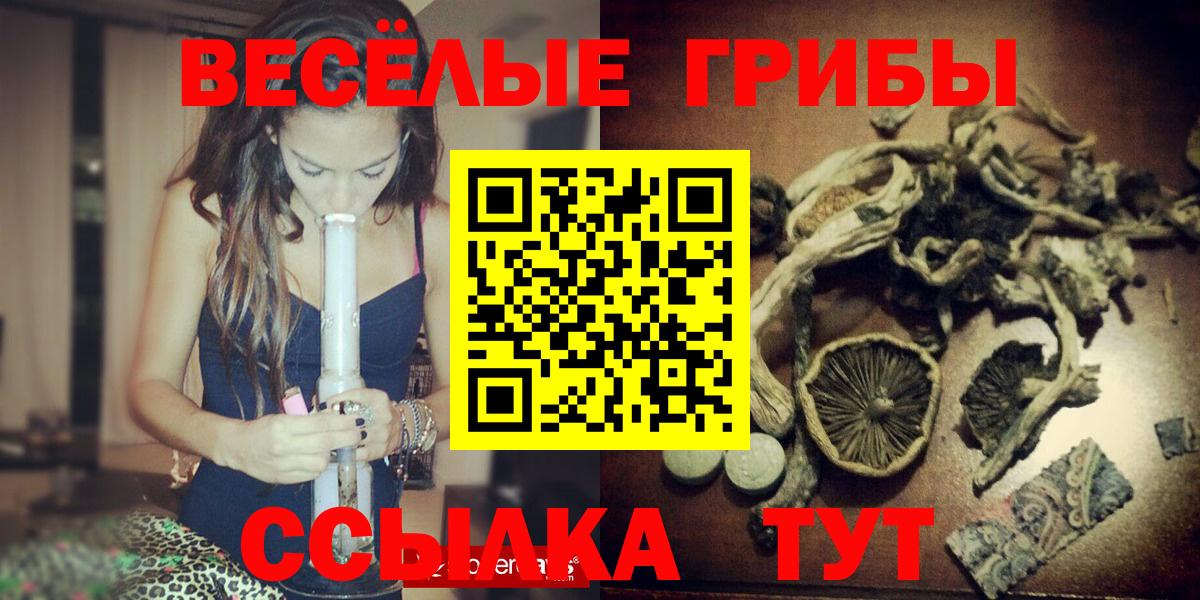 Псилоцибиновые грибы Psilocybine cubensis  купить наркотик  Вход с VPN  Минеральные Воды  Галлюциногенные грибы Magic Shrooms 